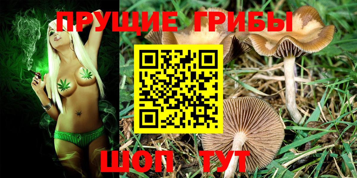 Ростов-на-Дону  Галлюциногенные грибы Psilocybe  Псилоцибиновые грибы мухоморы  Вход с VPN 